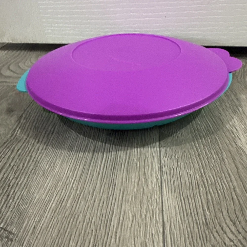 Vintage Tupperware Reheatables Divided Dish Teal Purple Lid 2604B-4 New